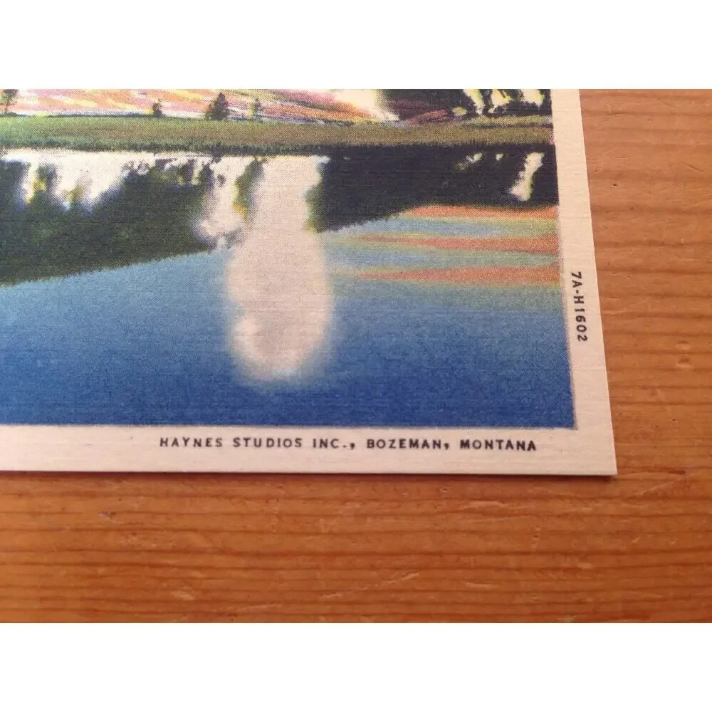 Vintage White Border Haynes Geyser Hill Upper Basin Yellowstone National Park WY